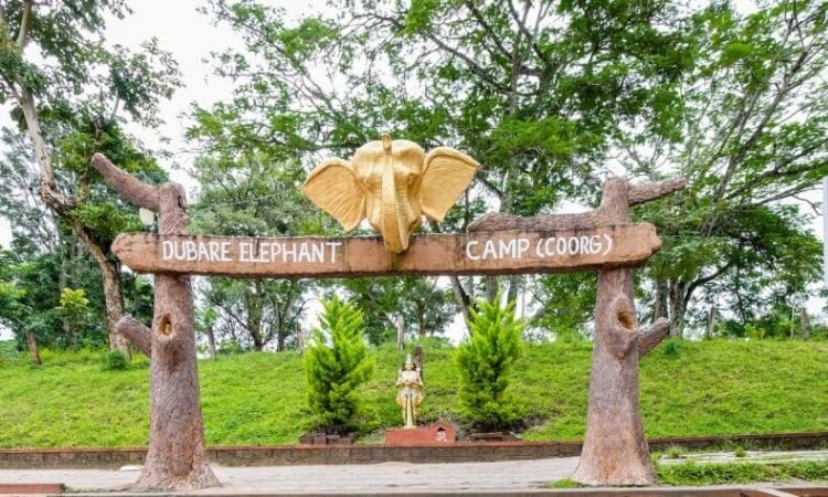 Dubare Elephant Camp