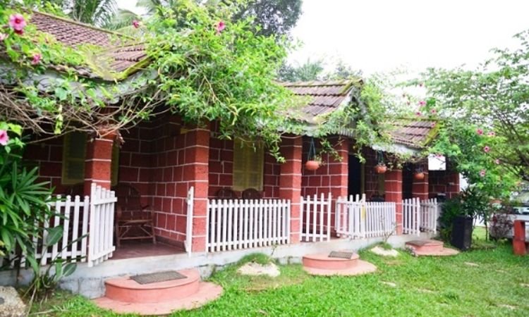 Green Valley Homestay