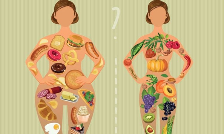 Metabolism and Body Composition