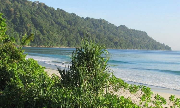 Radhanagar Beach, Havelock Island