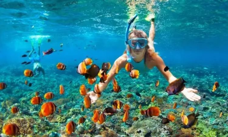 Snorkeling and Scuba Diving